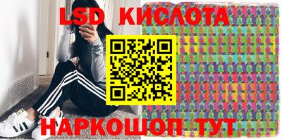 гашик Тверь
