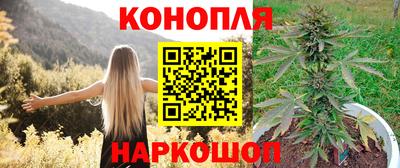 гашик Тверь