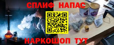 гашик Тверь