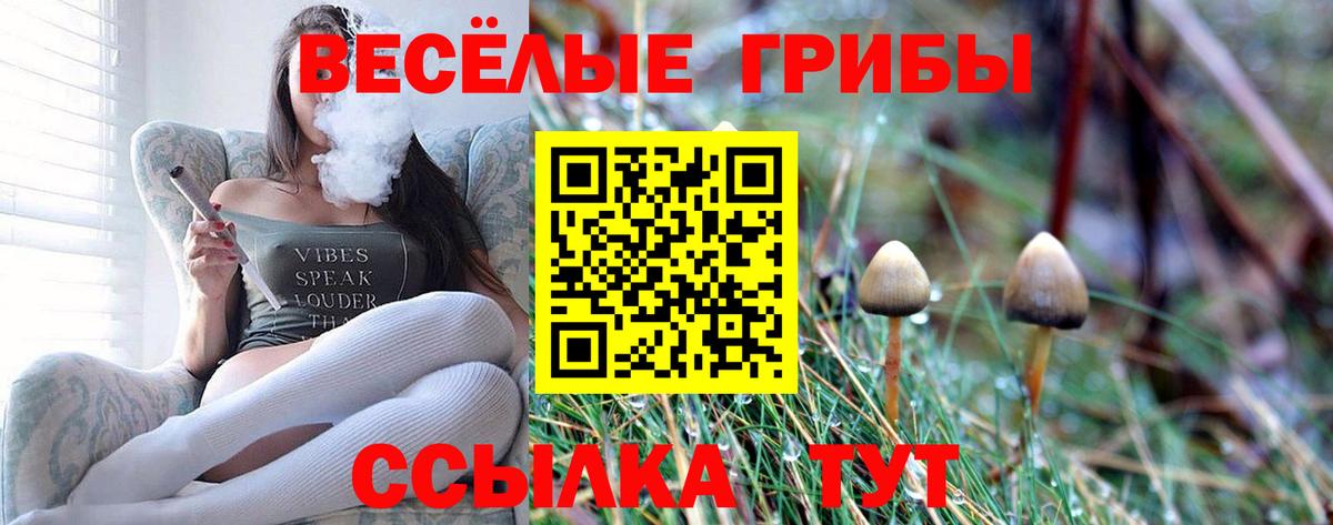 Псилоцибиновые грибы ЛСД Нижнеудинск